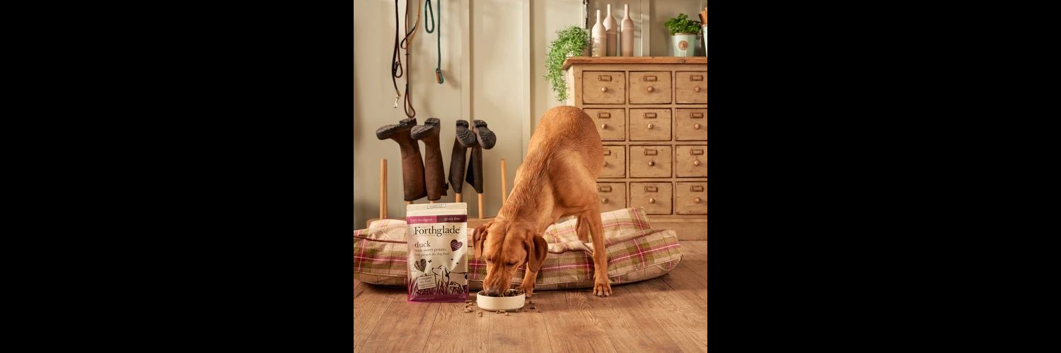  Forthglade Dog Cold Pressed Dry Dog Food Duck - Grain Free