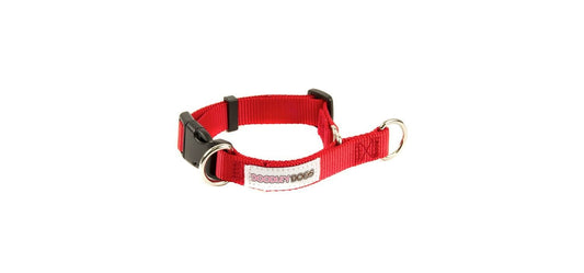  Great&Small Doodley Dogs Red Plain Nylon Collar
