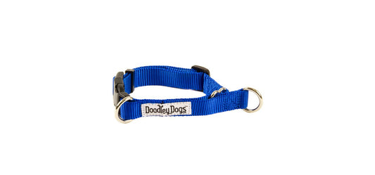  Great&Small Doodley Dogs Plain Blue Nylon Collar
