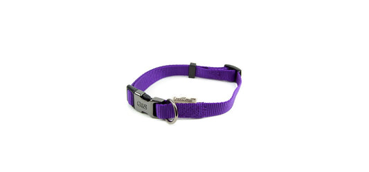  Great&Small Classic Purple Plain Collar
