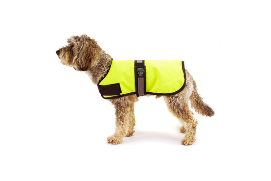  Great&Small Active Unlined Hi-Vis Dog Coat