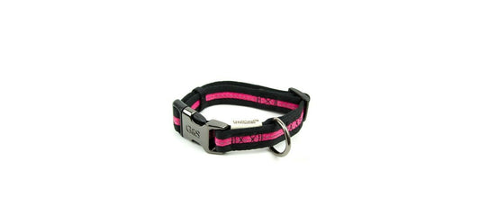  Great&Small Classic Soft Pink Nylon Collar