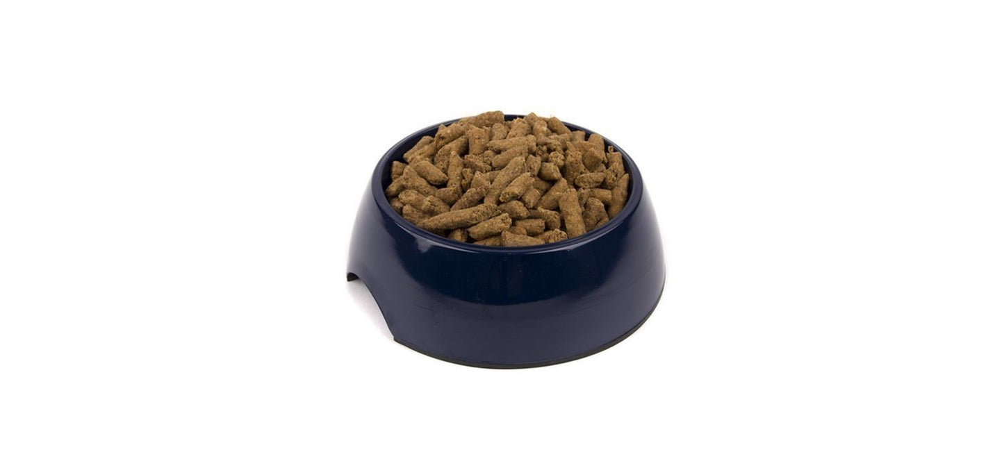  Great&Small Navy Melamine Dish