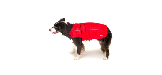  Great&Small Sports Coat Red