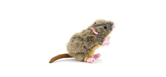  Great&Small Mouse Rat