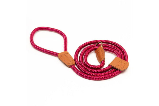  Great&Small Country Rope Slip Lead Red