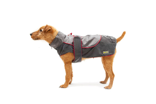  Great&Small Reflective Rainbow Dog Raincoat Red Trim