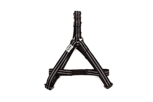  Great&Small Glow Harness Black