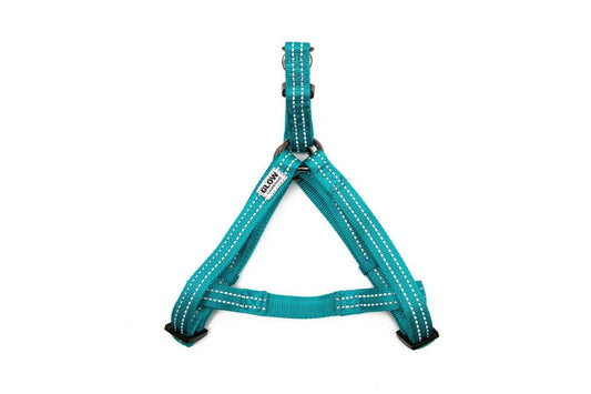  Great&Small Glow Harness Turquoise
