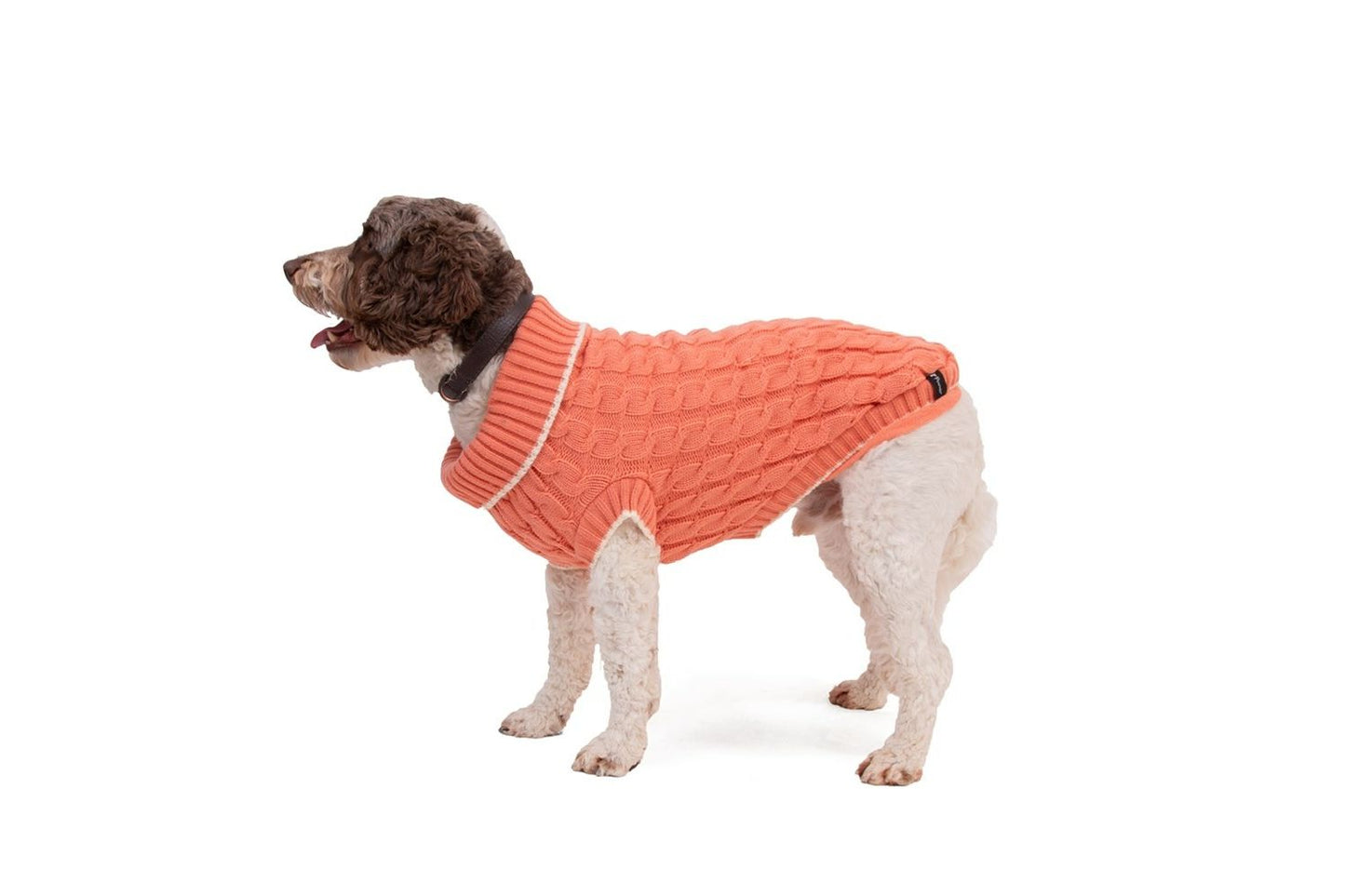  Great&Small Penrose Knit Sweater Peach With Cream Trim