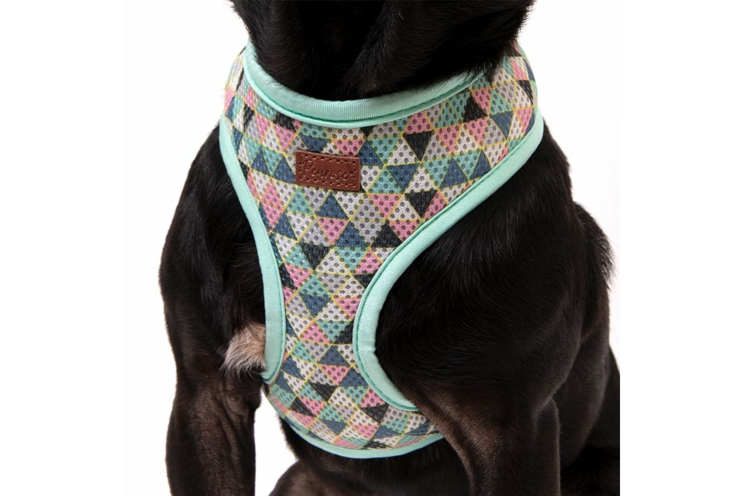  Great&Small Penrose Geometric Triangle Mesh Harness