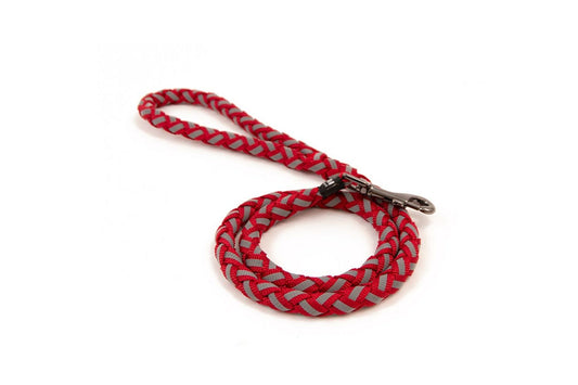  Great&Small Glow Lead Plait Red