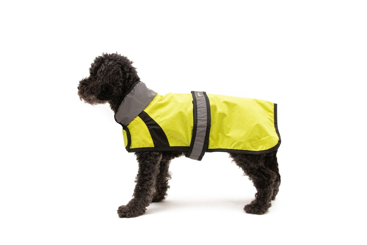  Great&Small Active Hi-Vis Running Dog Jacket