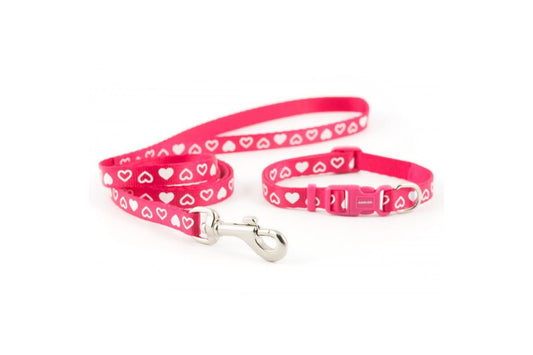  Ancol Small Bite Puppy Nylon Collar & Lead Set