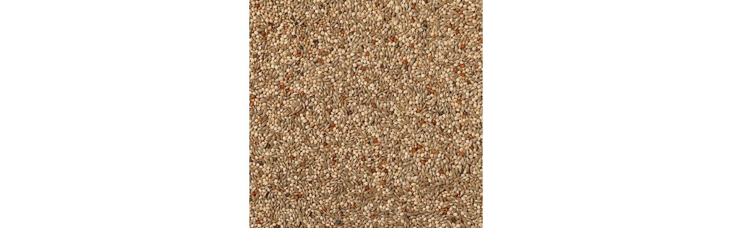  Johnston & Jeff Expert Budgie Seed 20kg