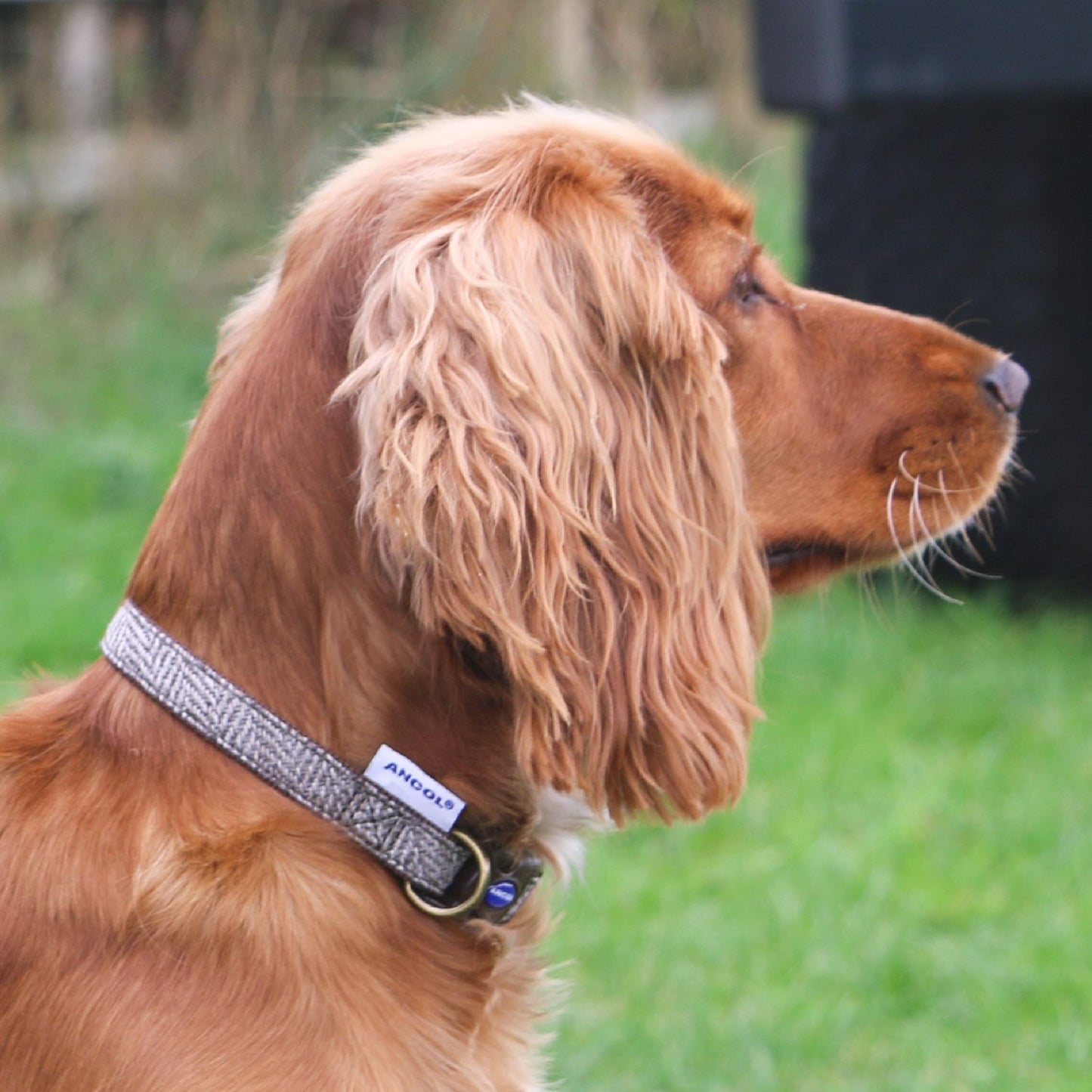  Ancol Heritage Herringbone Adjustable Collar