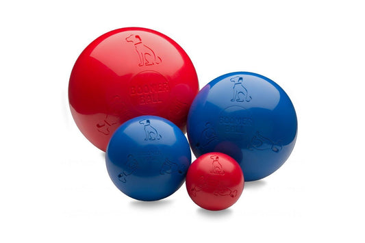  Company Of Animals Boomer Ball Dog Toy