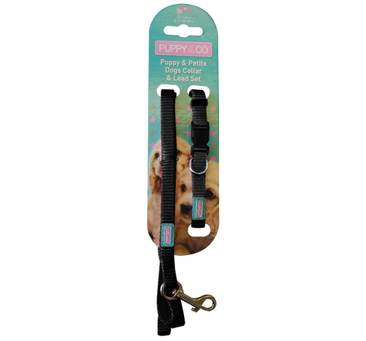  Pup & Co Puppy Black Collar & Lead Set