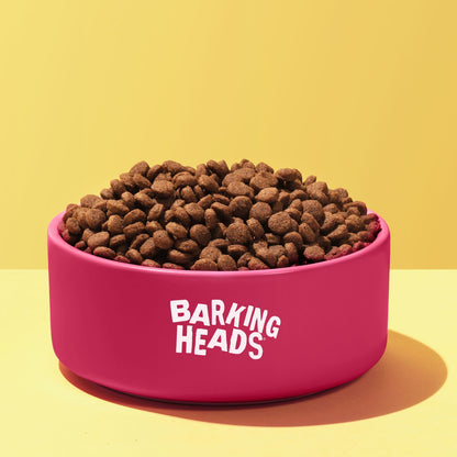  Barking Heads All Hounder Puppy Days Turkey Dry Dog Food