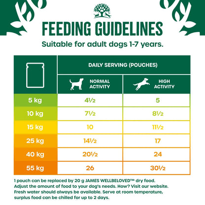  James Wellbeloved Adult Turkey In Gravy Pouch