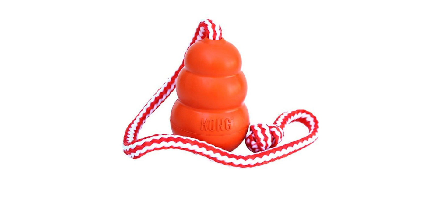  KONG Aqua Floating Retrieval Dog Toy