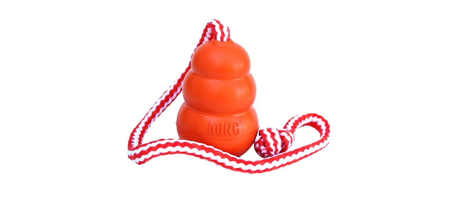  KONG Aqua Floating Retrieval Dog Toy