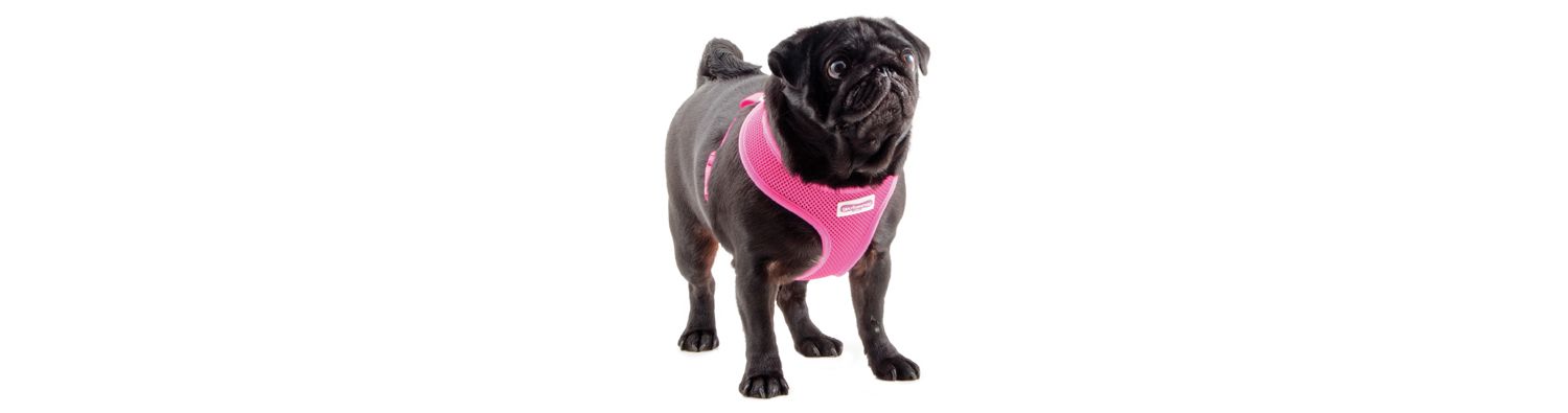  Ancol Viva Comfort Mesh Dog Harness Pink