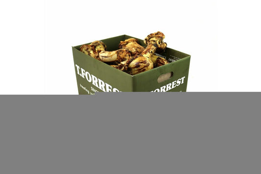  T. Forrest Roasted Whole Bone Jurassic Dog Treat