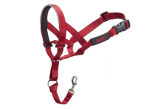  HALTI Headcollar Red