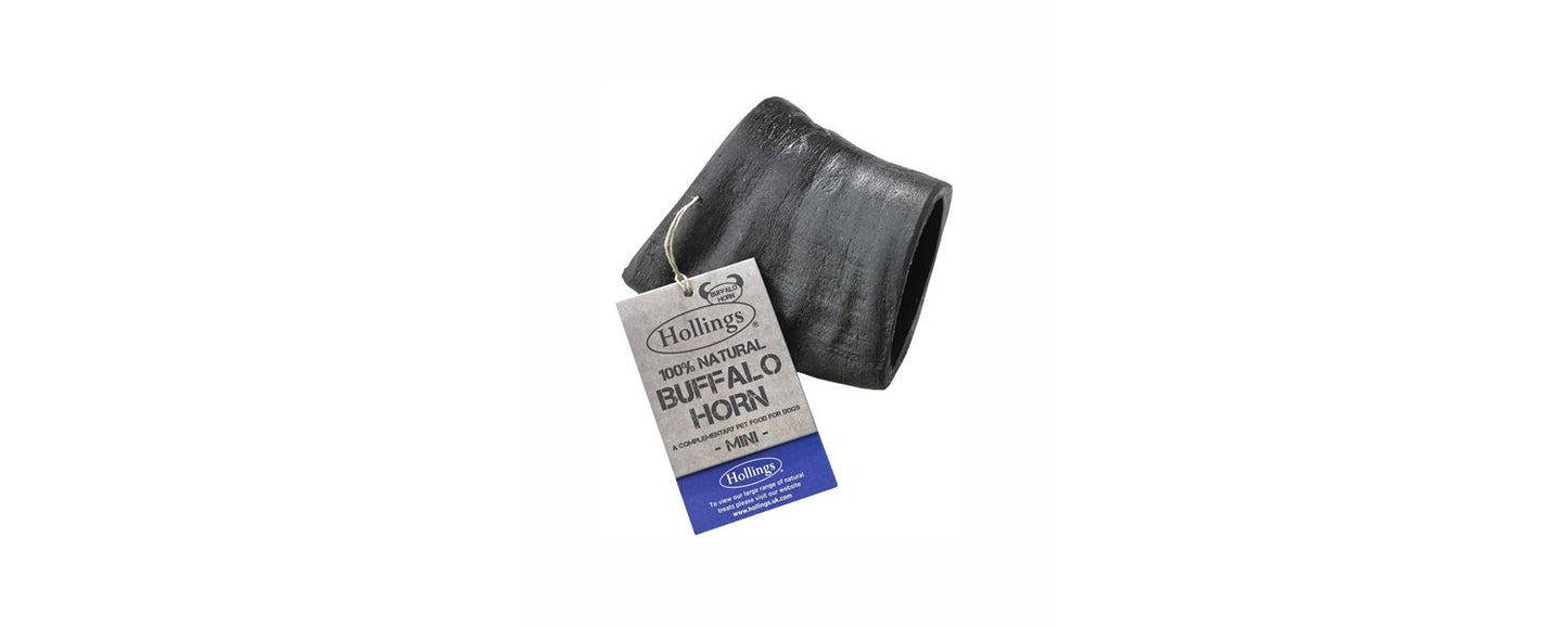 Hollings Buffalo Horn Jumbo Chew Treat