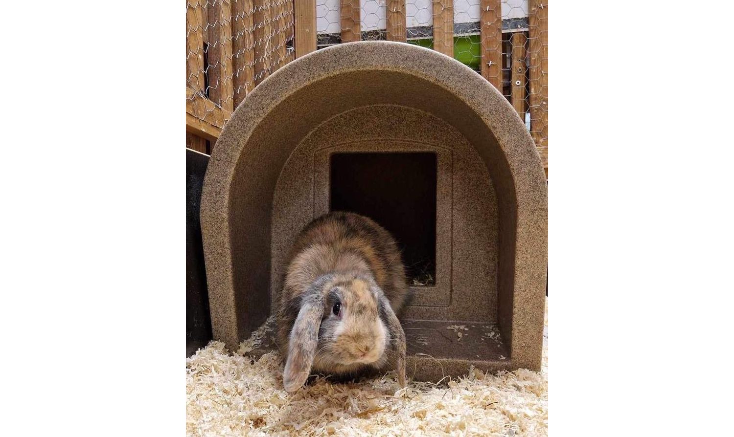  Mr Snugs KatDen Outdoor Cat Kennel/Shelter - Sandstone (Various Options)
