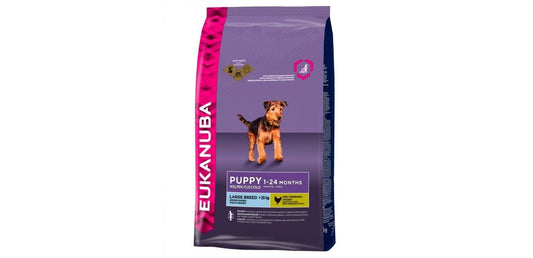 Eukanuba Dog Puppy & Junior Large Breed Chicken 12kg