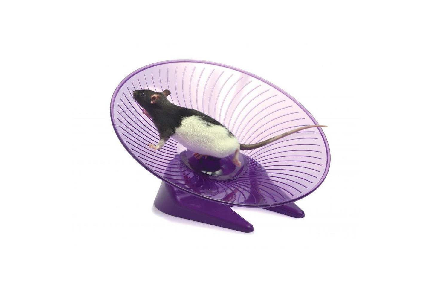  Sharples 'N' Grant Small 'N' Furry Fly 'N' Saucer Wheel