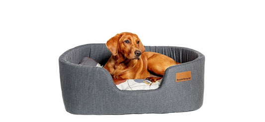  Danish Design Colour Block Steel Lux Slumber Bed