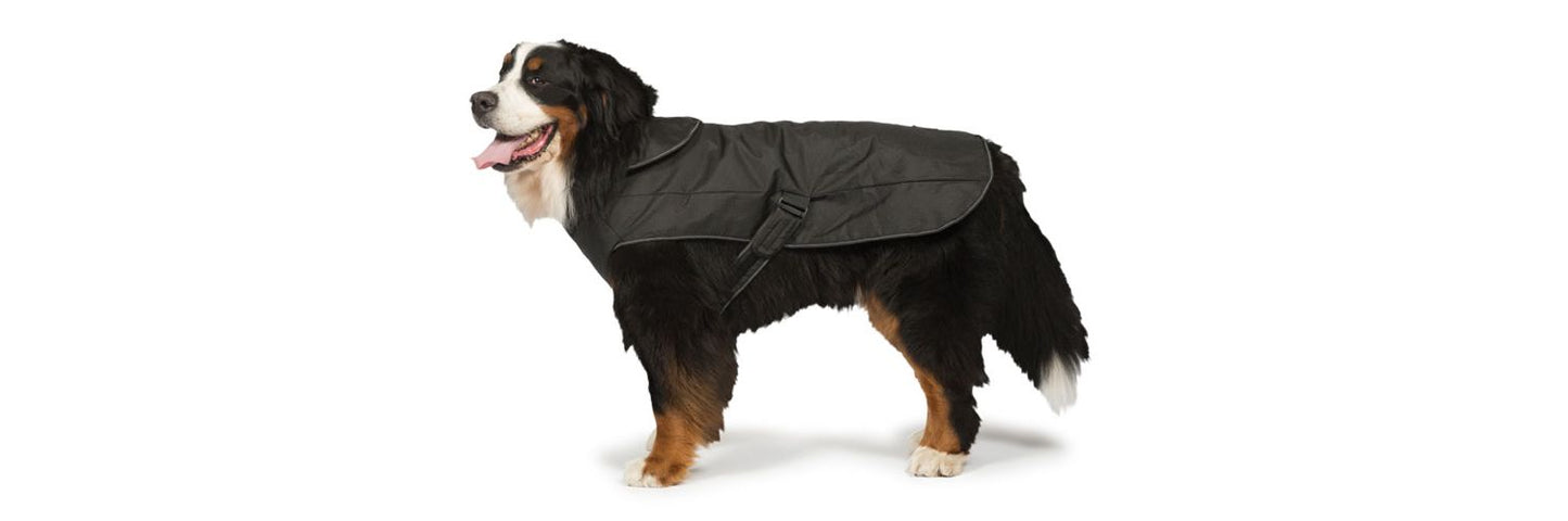  Danish Design 2 In 1 Ultimate Waterproof Harness Dog Coat Black