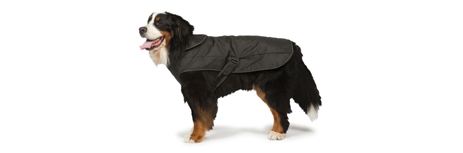  Danish Design 2 In 1 Ultimate Waterproof Harness Dog Coat Black
