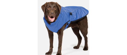  Danish Design Sports Luxe Blue Dog Coat
