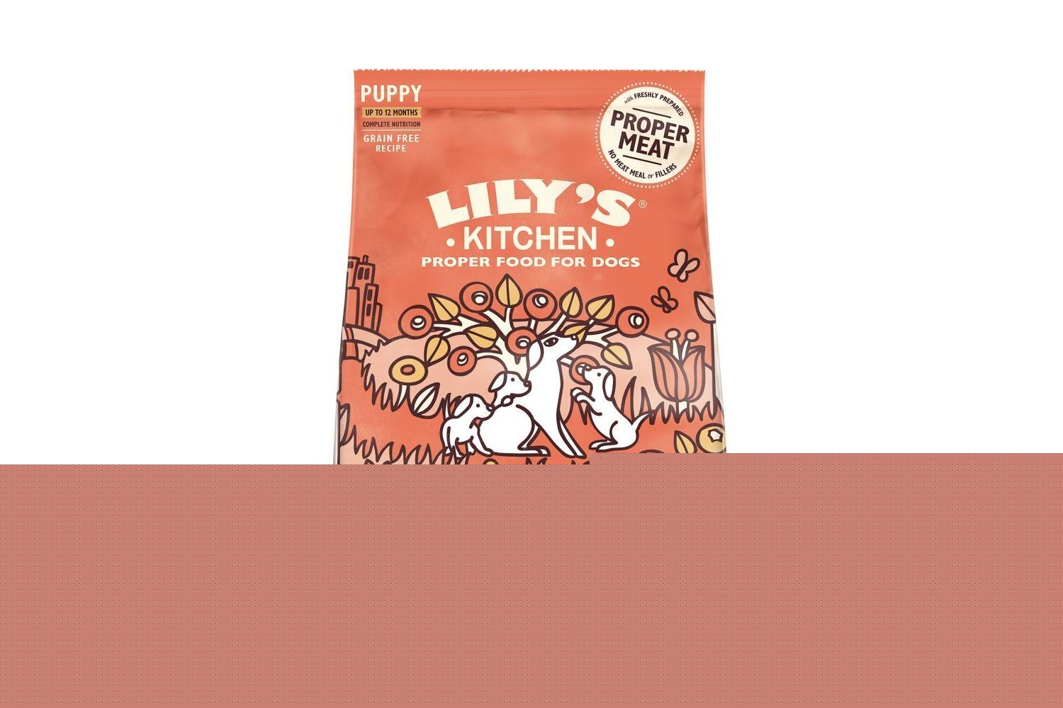  Lily's Kitchen Grain Free Puppy Chicken & Salmon