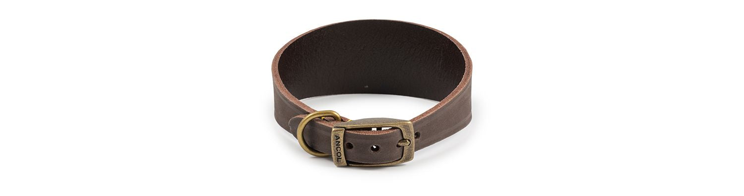  Ancol Timberwolf Sable Greyhound/Whippet Leather Dog Collar