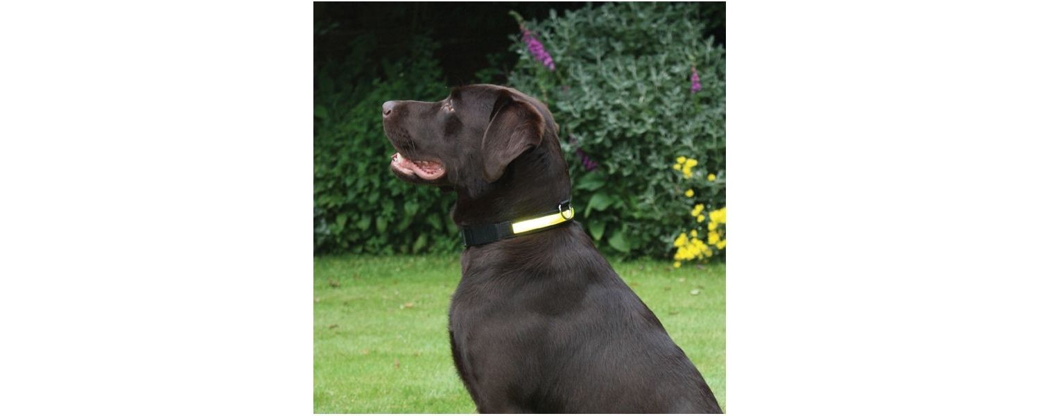  Rosewood Premium Yellow Flashing Dog Collar
