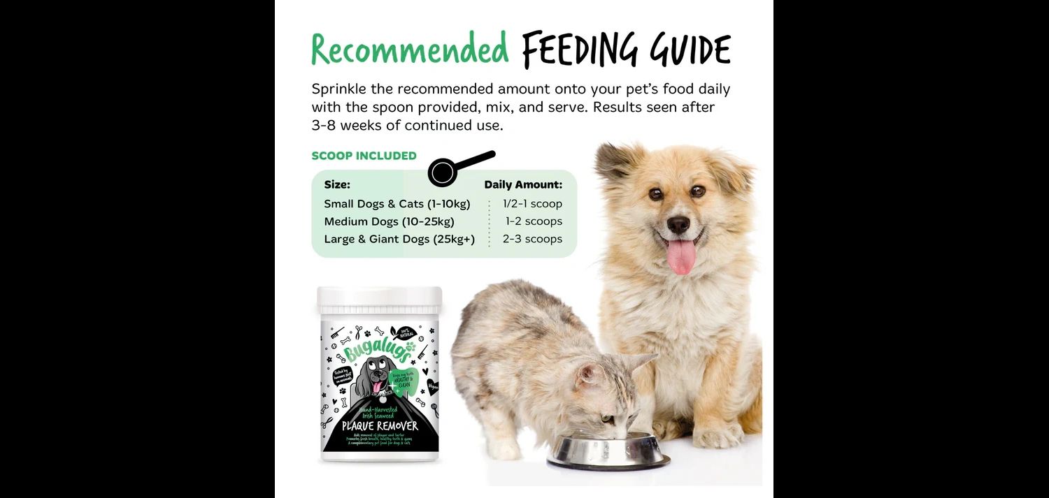  Bugalugs Plaque Remover For Dogs/Cats