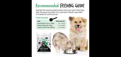 Bugalugs Plaque Remover For Dogs/Cats