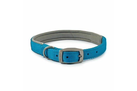  Ancol Padded Nylon Blue Dog Collar