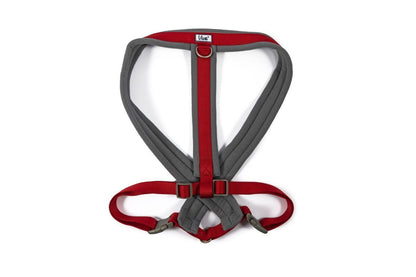  Ancol Viva Padded Dog Harness In Red
