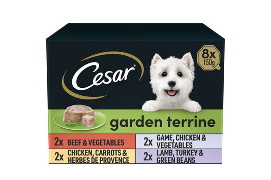  Cesar Garden Terrine Mixed Selection In Loaf Dog Food