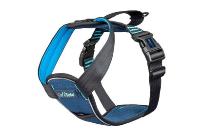  Company Of Animals Carsafe Crash Tested Dog Harness Blue