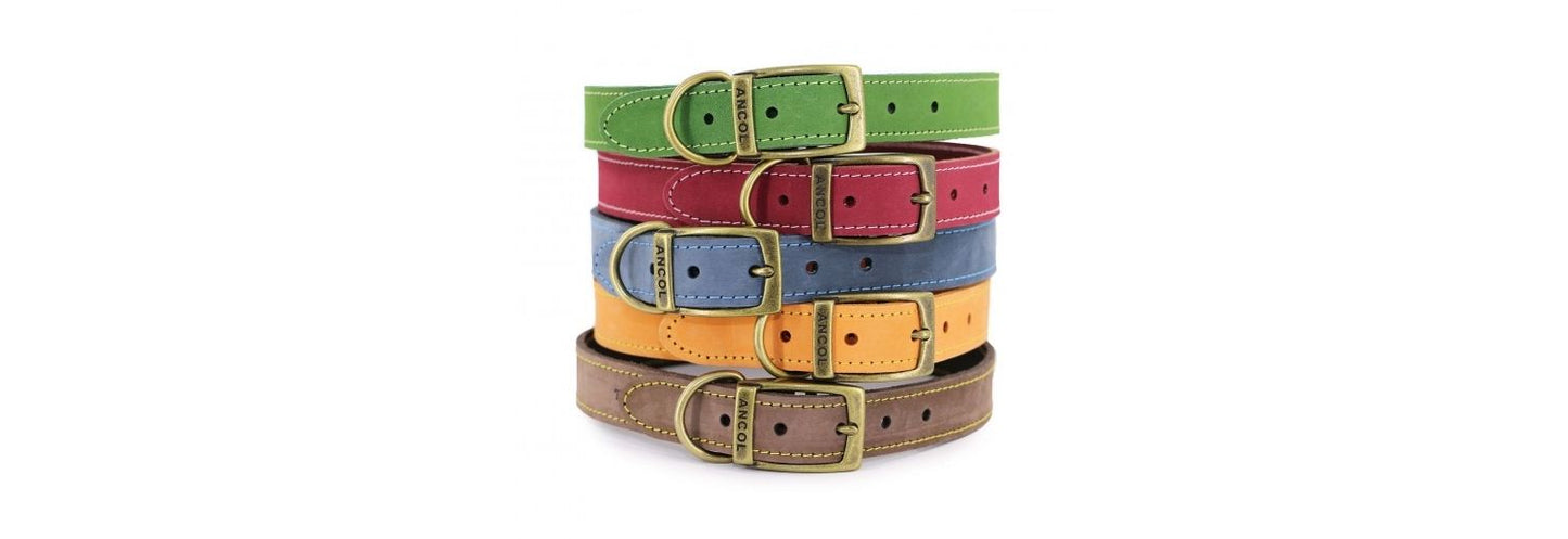  Ancol Timberwolf Sable Leather Dog Collar