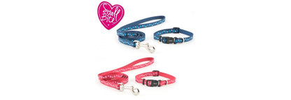  Ancol Small Bite Blue Stars Puppy Collar & Lead Set