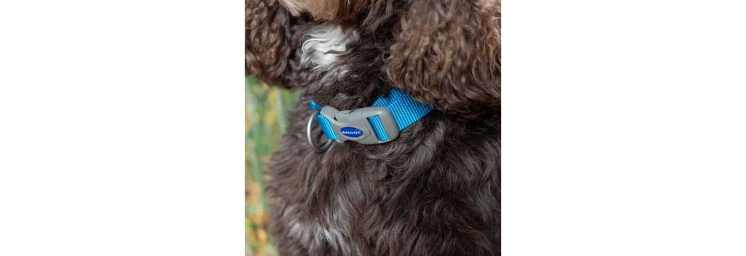  Ancol Viva Adjustable Blue Dog Collar