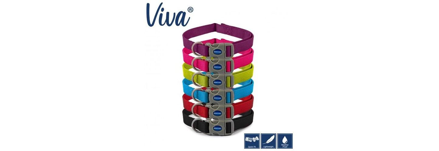  Ancol Viva Nylon Black Adjustable Dog Collar